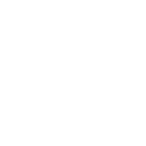 SystmCoaching3